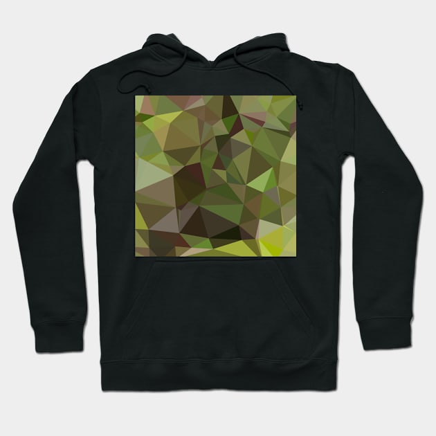 Pistachio Green Abstract Low Polygon Background Hoodie by retrovectors